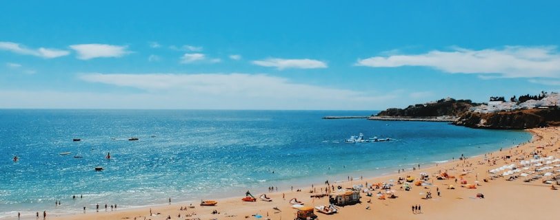 people near seashore during daytime
