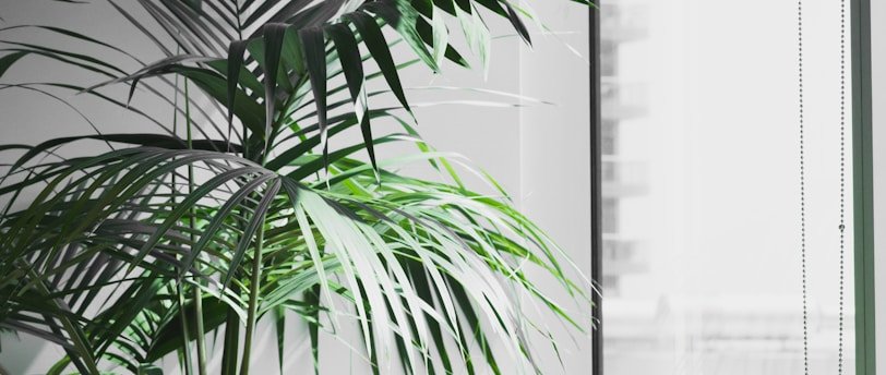 La consultation du CSE sur les congés payés de fin d’année