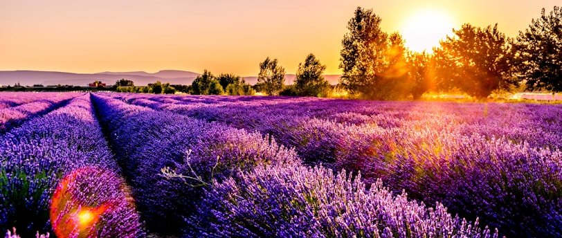 Arrêt-maladie et congés payés.