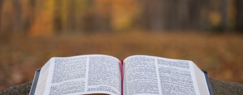 bible page on gray concrete surface