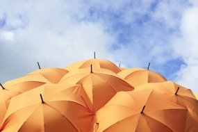 orange umbrella lot