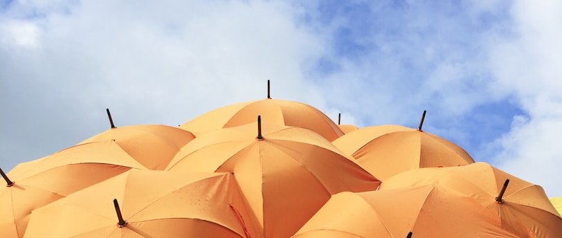 CSE : Demandeur d’élection CSE, protection contre le licenciement