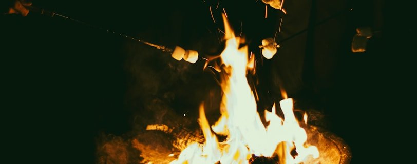 people cooking marshmallow on bonfire