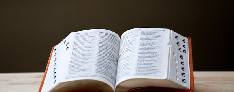 opened book on brown table
