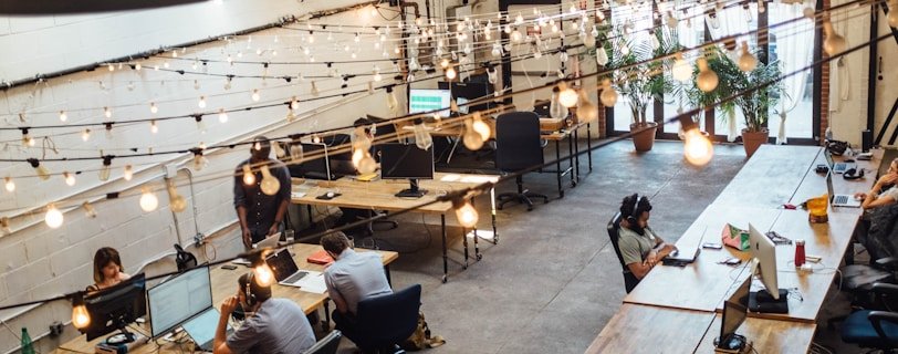 people sitting in front of computer monitors