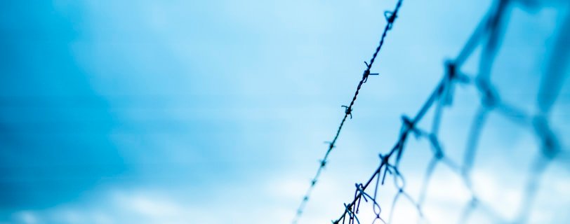 barbed wire