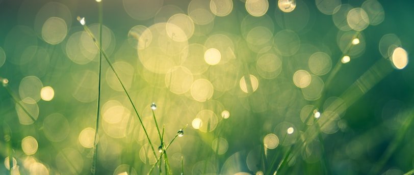 Les CSE et la transition écologique : Vers une entreprise plus durable