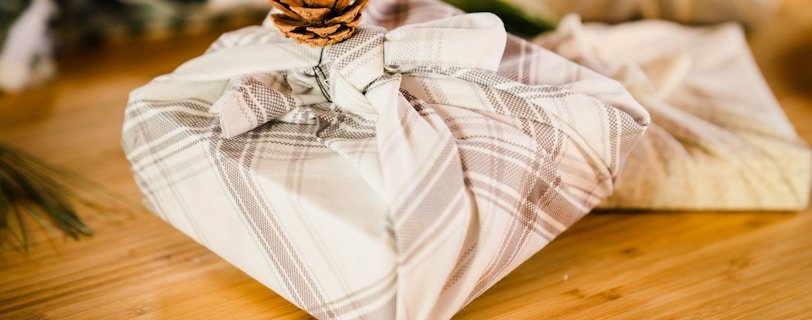 brown pine cone on white textile