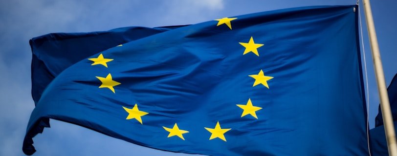 blue and yellow star flag