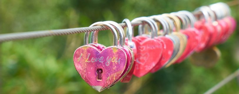 red and gold padlock on gray metal wire