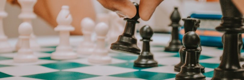 person holding black and white chess piece