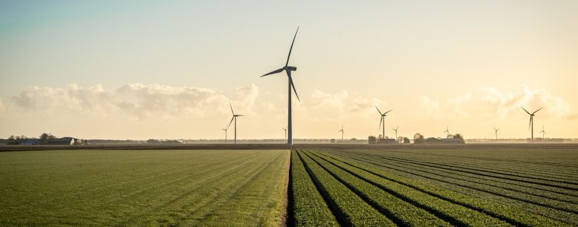 wind turbines on green grass field under blue sky during daytime