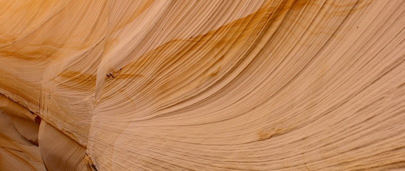 La mise en place du CSE