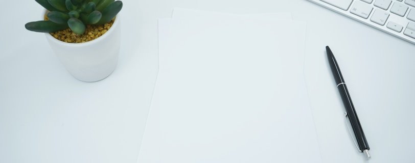 green cactus plant on white table