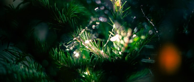 Jours fériés : Noel et Jour de l’An