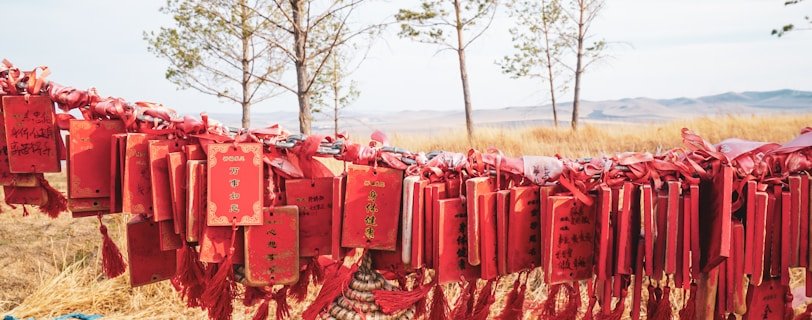 a string of red ribbons hanging from a tree