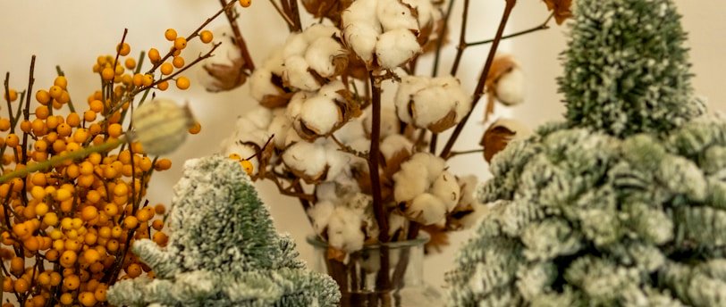 Arbre de Noël du CSE et religion