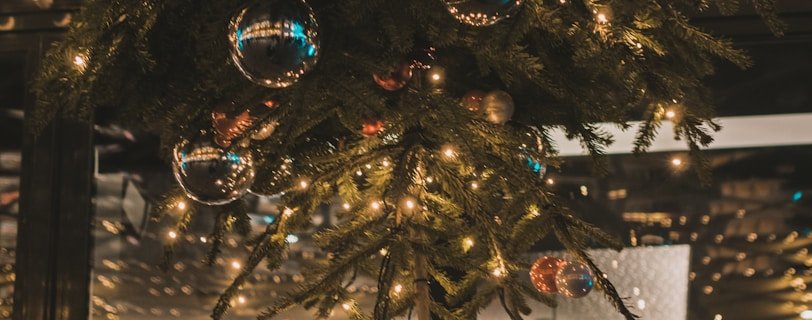 a christmas tree in a store with lights on it