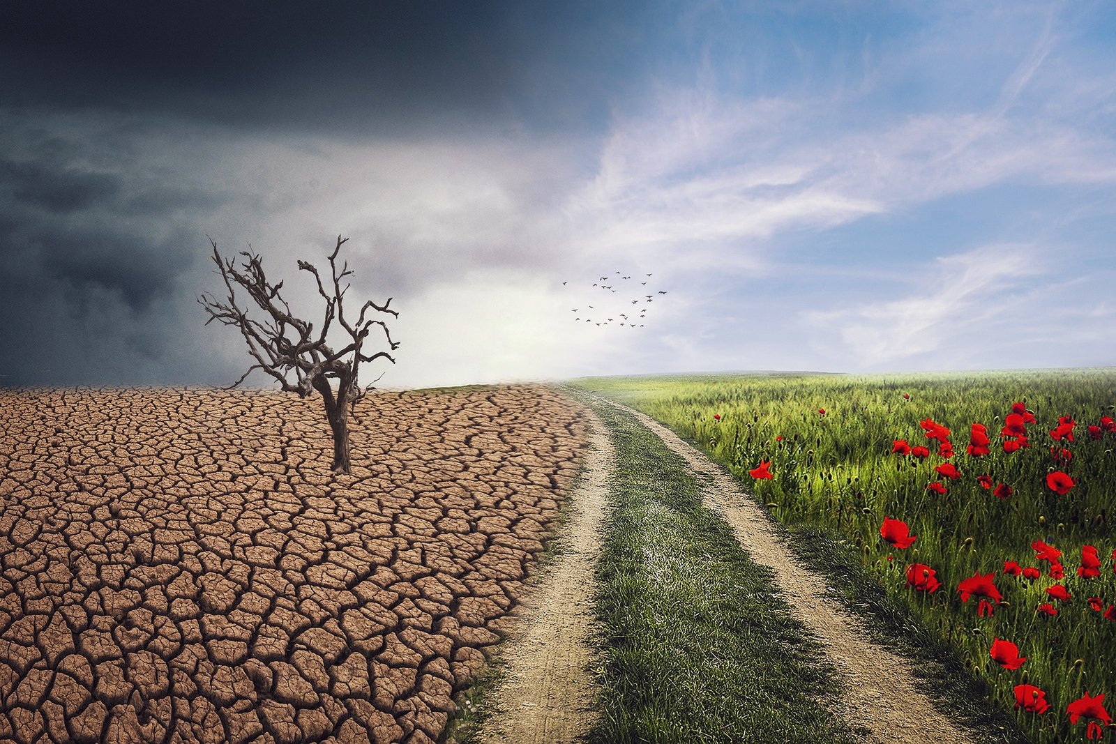 Loi Climat et CSE : nouvelles obligations environnementales des élus