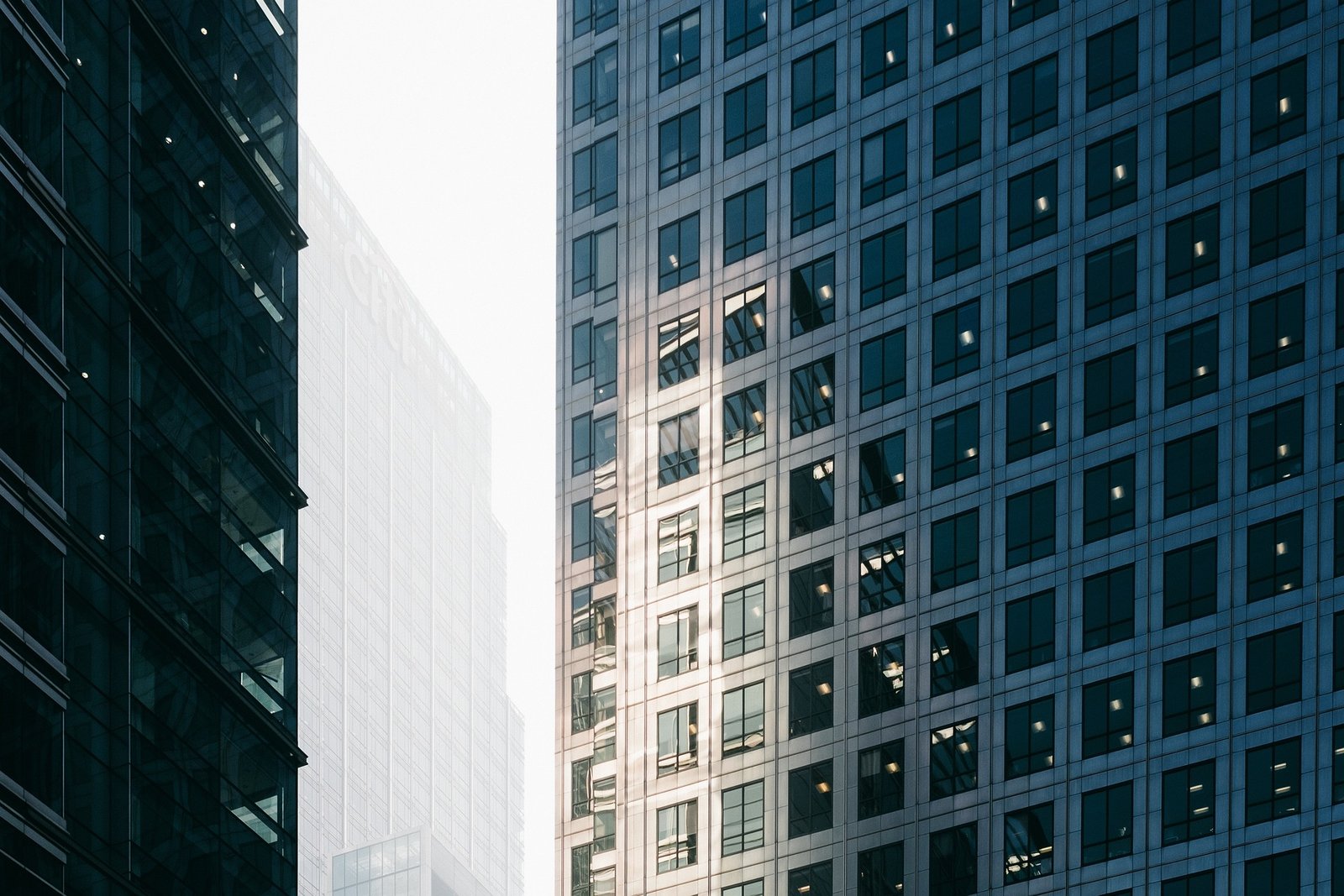 Fin de mandat CSE : que devient l’élu après son mandat — emploi, formation, entretien ?