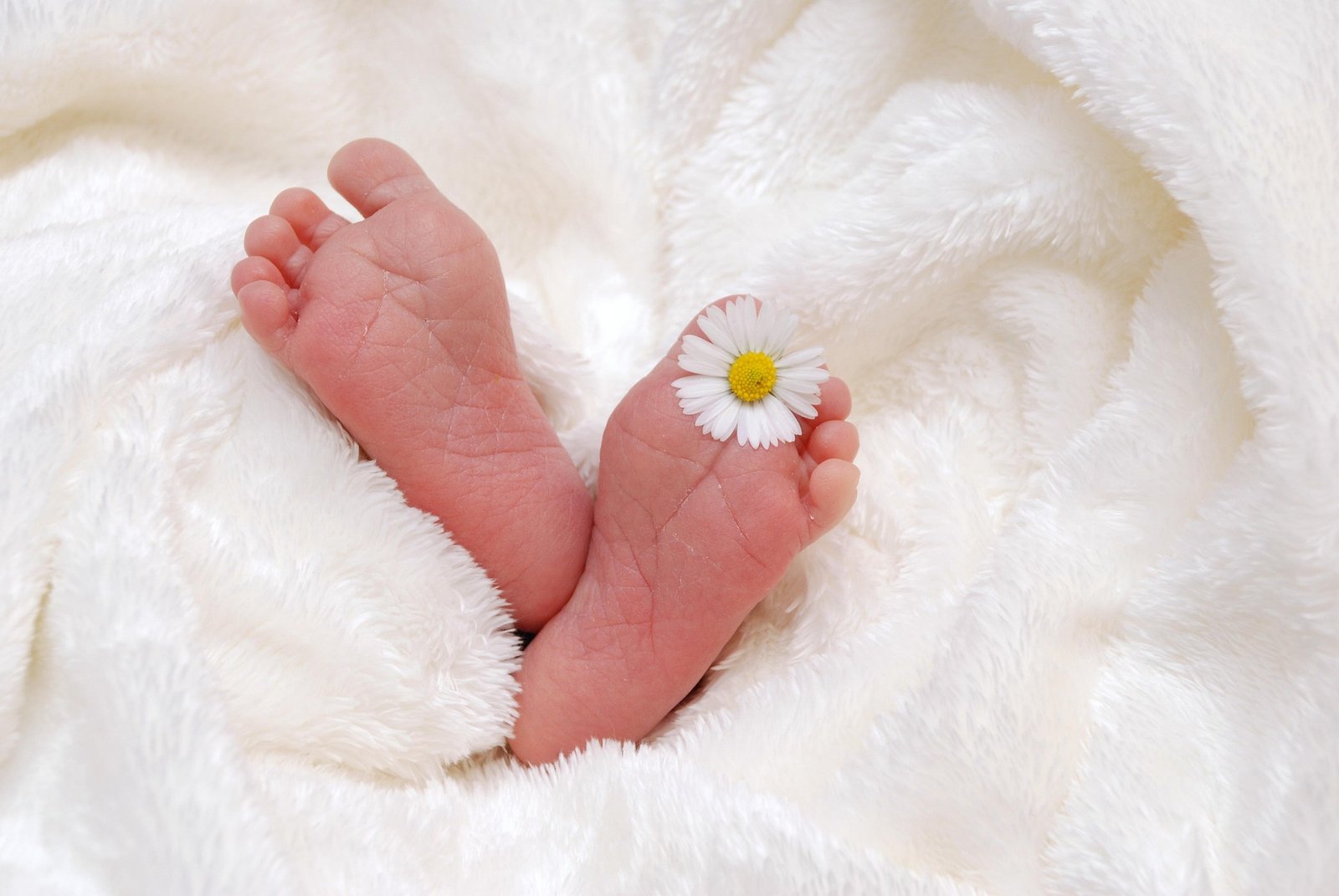 Congé supplémentaire de naissance – 1er juillet 2026